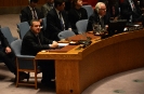 Minister Dacic at the UN Security Council meeting
