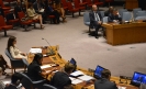 session of the UN Security Council