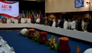Minister Dacic at the ministerial conference of the Association of Caribbean countries