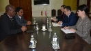 Meeting of Minister Dacic with Minister of Home Affairs of the Republic of Suriname [02/11/2017]