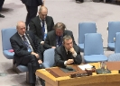UN Security Council meeting devoted to the work of UNMIK [07/02/2018]