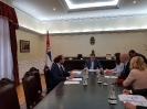 Meeting of Minister Dacic with  the Head of OSCE Mission to Kosovo (OMIK) [22/06/2018]