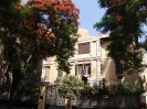 Serbian Embassy in Cairo_5