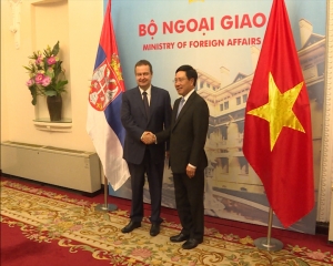 Meeting of Minister Dacic with MFA of Vietnam