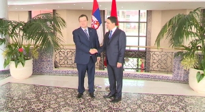 Ivica Dacic - Nasser Bourita