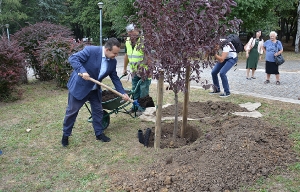 Ivica Dacic 