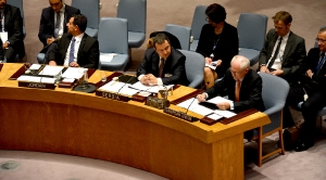 UN Security Council