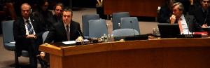 Minister Dacic on the UN Security Council session