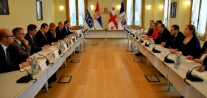 Meeting of Minister Dacic with the President of Georgia