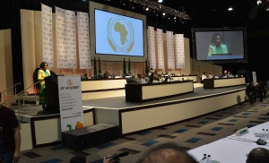 Minister Dacic at the Summit of the African Union