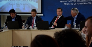 Presentation of the activities on the occasion of the meeting of the Ministerial Council of the OSCE