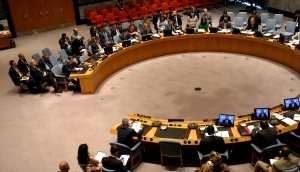 UN Security Council session