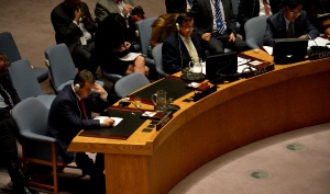 UN Security Council session