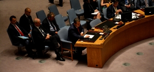 UN Security Council session