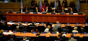 Minister Dacic in New York attends High-level side