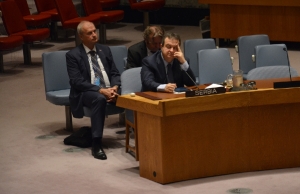 session of the UN Security Council