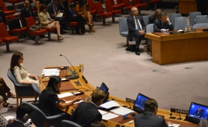 session of the UN Security Council