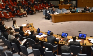 session of the UN Security Council