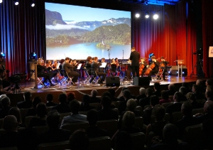 Minister Dacic at the opening of the Bled Strategic Forum