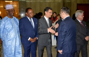 Minister Dacic attended the ceremony marking the Day of Africa