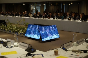 Nemanja Stevanovic at the ministerial session of the Council of Europe