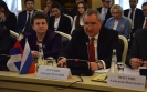 Međuvladin srpsko - ruski komitet 