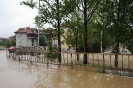 Поплава у Србији (Обреновац)