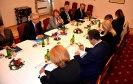 Ministar Dačić sastao se sa predsednikom Senata Češke