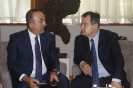 Ministri Dačić i Čavušoglu zadovoljni dosadašnjim razvojem bilateralnih odnosa Srbije i Turske [07.10.2019.]