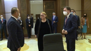 Nikola Selaković - trilateralni sastanak sa BiH i Turskom