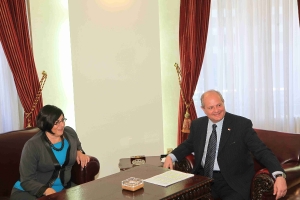 Мркић - Азари